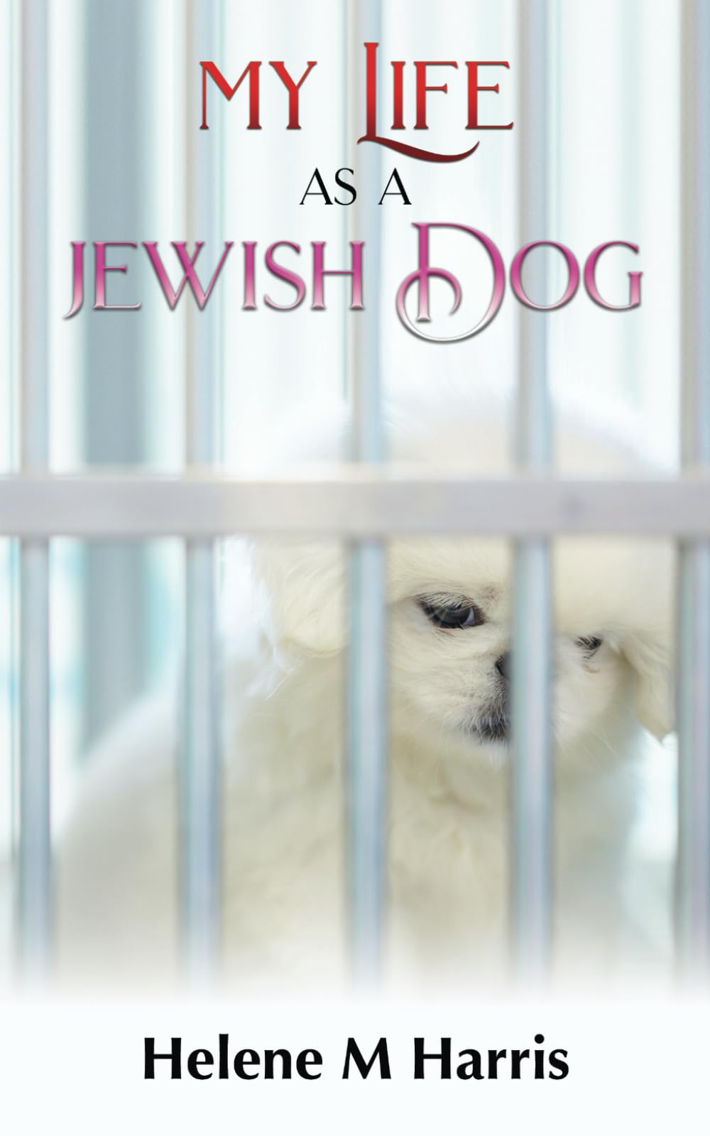 My Life As A Jewish Dog