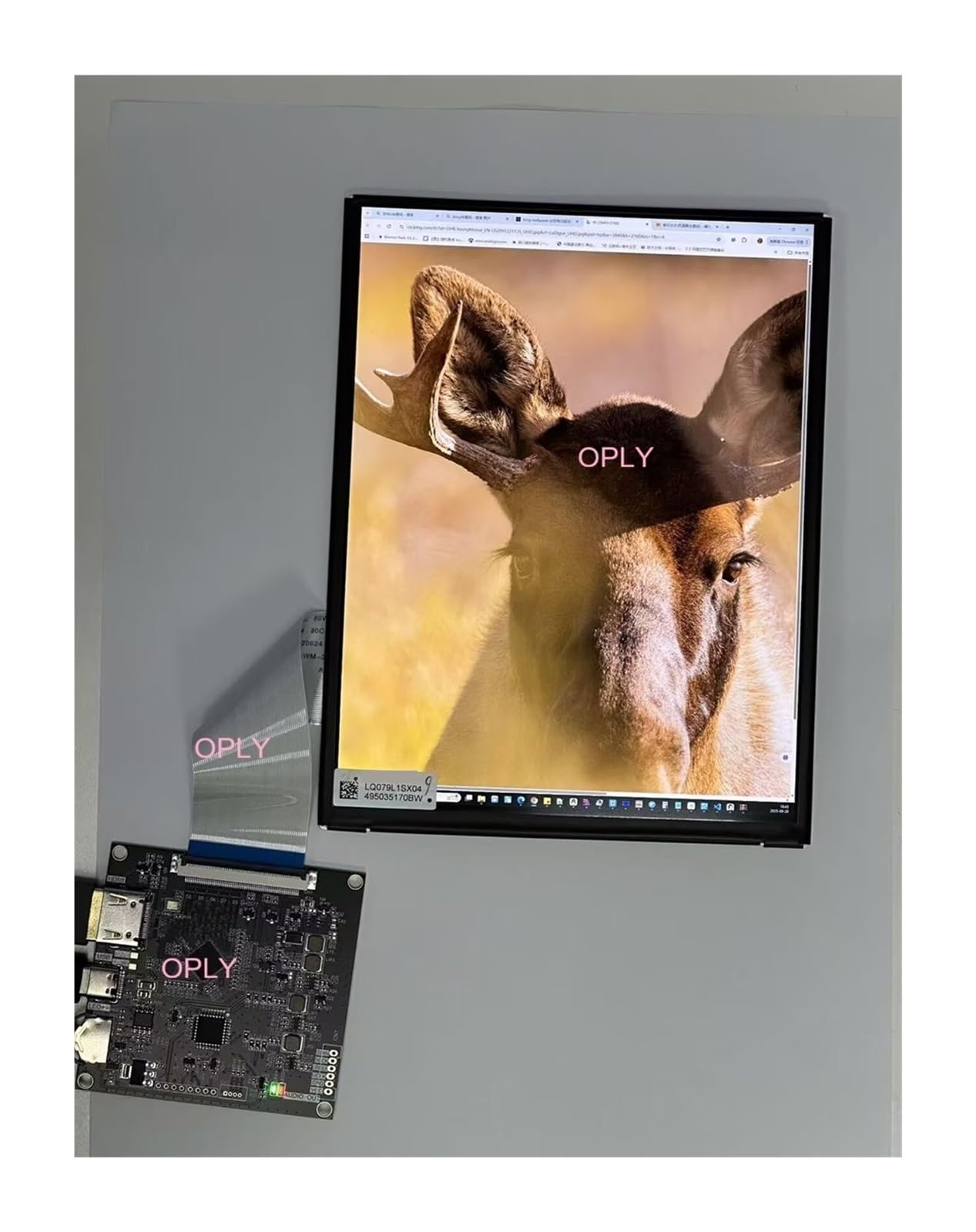 Modulo Schermo IPS Da 7,9 "Pannello 2048 * 1536 2K 1536x2048 LED Da 7,9 Pollici + Scheda Controller Compatibile HDMI Tipo C A MIPI for PS 360Box(Only board)