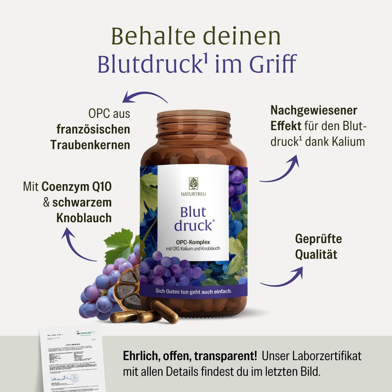 NATURTREU® Blutdruck - OPC Traubenkernextrakt hochdosiert 900mg Extrakt mit Q10, Kalium & schwarzem Knoblauch - Französische Trauben vegan - 90 Traubenkernextrakt OPC Kapseln hochdosiert.