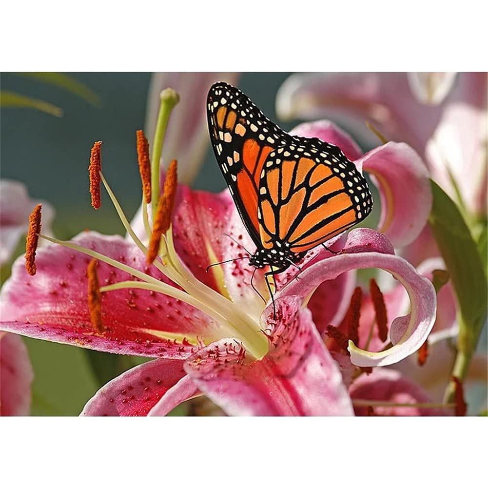 Kit Diamond Painting Farfalla E Fiori - 30x40 Cm - Con Diamanti 5D - Attività Creativa - Foto 11