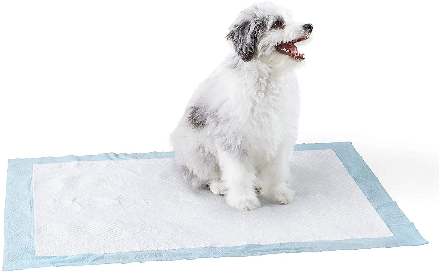 SECOM Premium Pee & Potty Pet Disposable Training Pads Super Absorbent Water Proof Non Slippery with Quick Drying Surface | Suitable for Small/Medium/Large Breed Pets, Dogs, Cats (40 Pads) (B08V91KSPB) Amazon Price History, Amazon Price Tracker