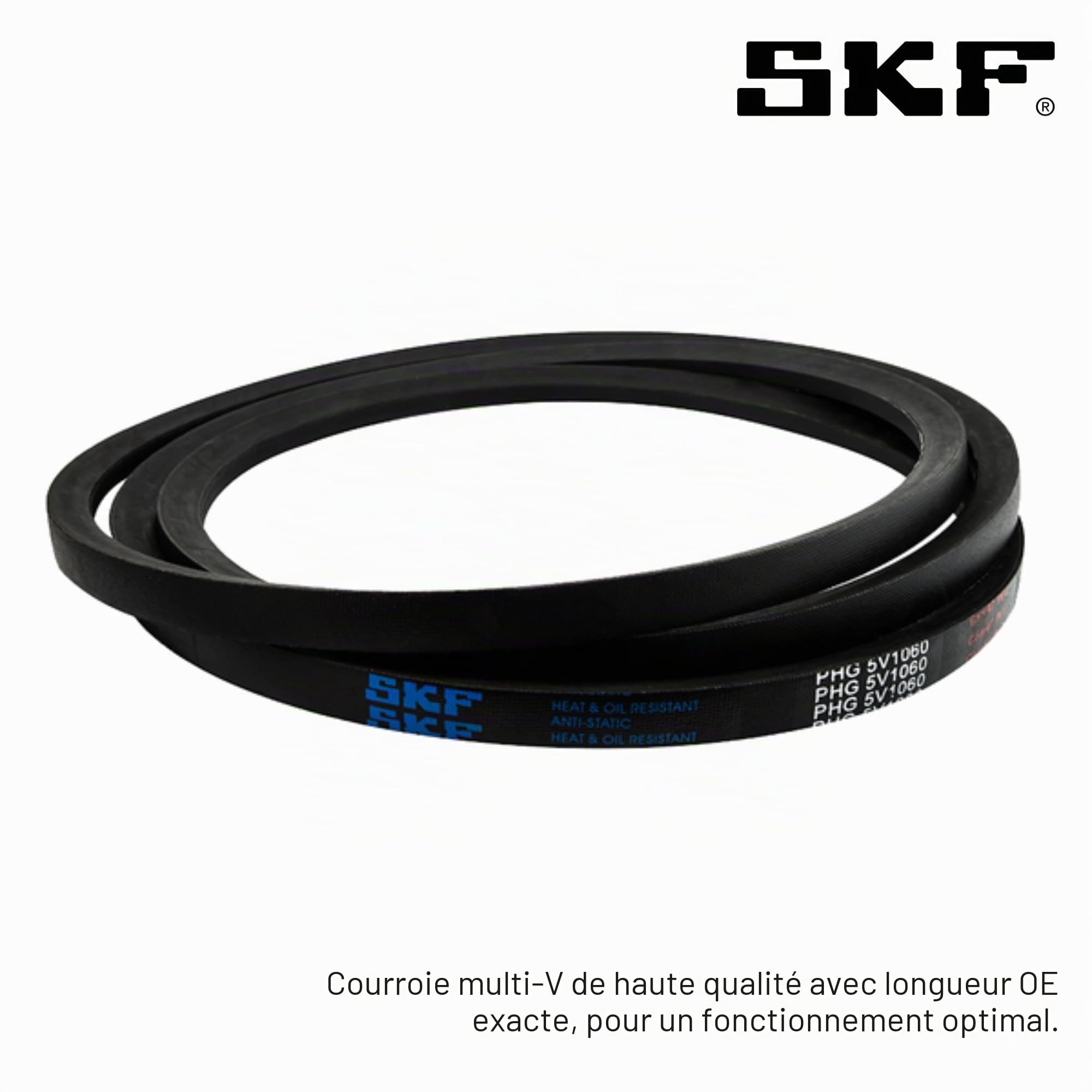 SKF VKMV 7PK1975 Courroie Multi-V | Compatible avec: ALFA ROMEO 145, 146, 156, 156 Sportwagon, 166, GTV, SPIDER, LANCIA DELTA II, NISSAN NV400 Bus, NV400 Kasten