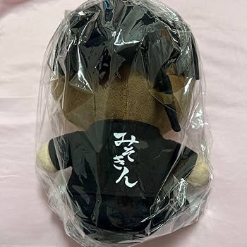 【今がチャンス‼️】ヒカキン　みそきん　ぬいぐるみ　限定300個 Amazon.co.jp: みそきん ぬいぐるみ 抽選 300個 ヒカキン