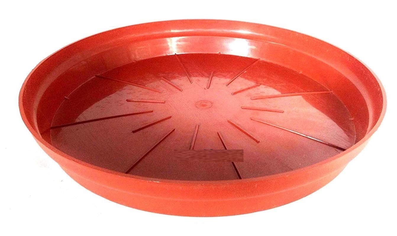 VINSHRA Flower Pot Bottom Tray, 12 Inch, Red, 6 Pieces Amazon.in