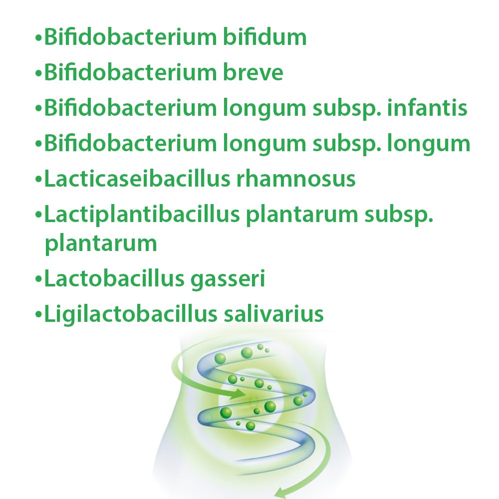Dr. Jacob's LaktoBifido 90 Kapseln I Laktobazillen und Bifidobakterien | Garantiert 5 Mrd. lebende Keime pro Kapsel I geeignet bei Histaminintoleranz (HIT) I ohne Hefe und Gluten I 90 Portionen