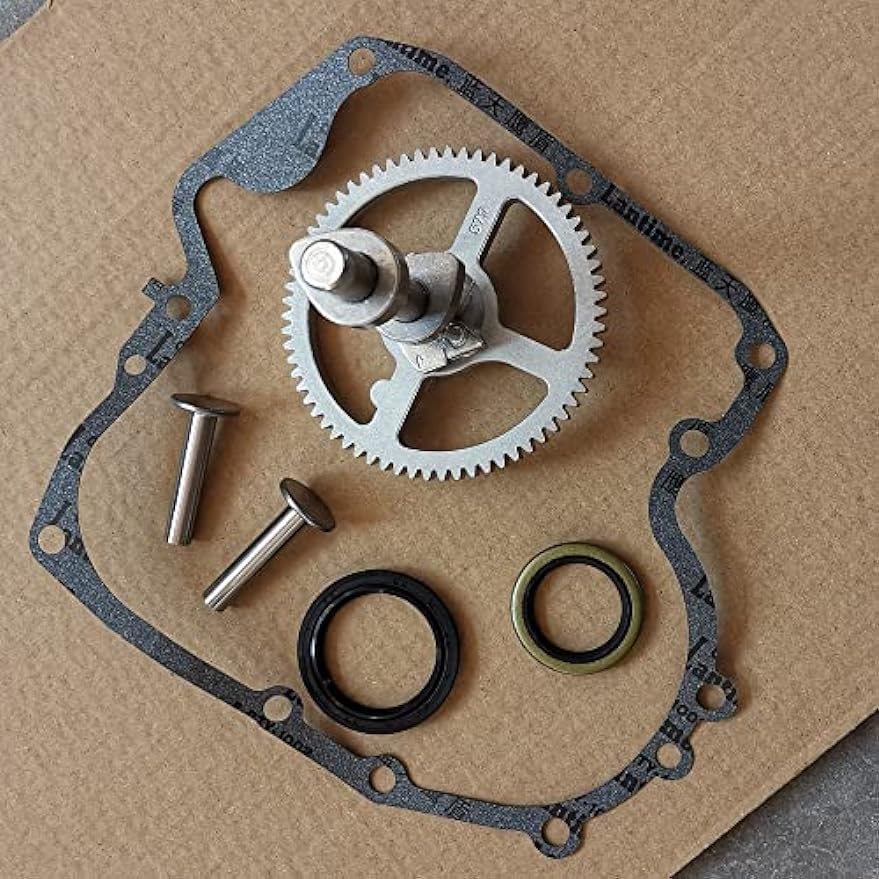 Kit Arbre à Cames 793880 Avec Joints - Compatible Tondeuse, Remplace 793583, 792681, 791942, 795102 - 5