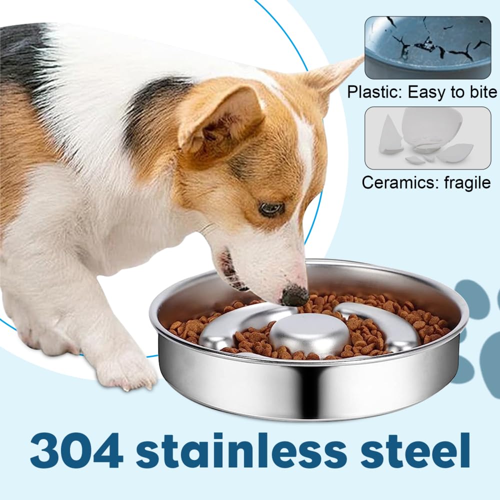 Bol Anti-Glouton Pour Chien/Chat - Alimentation Lente, Base Antidérapante - Pour Une Meilleure Digestion
