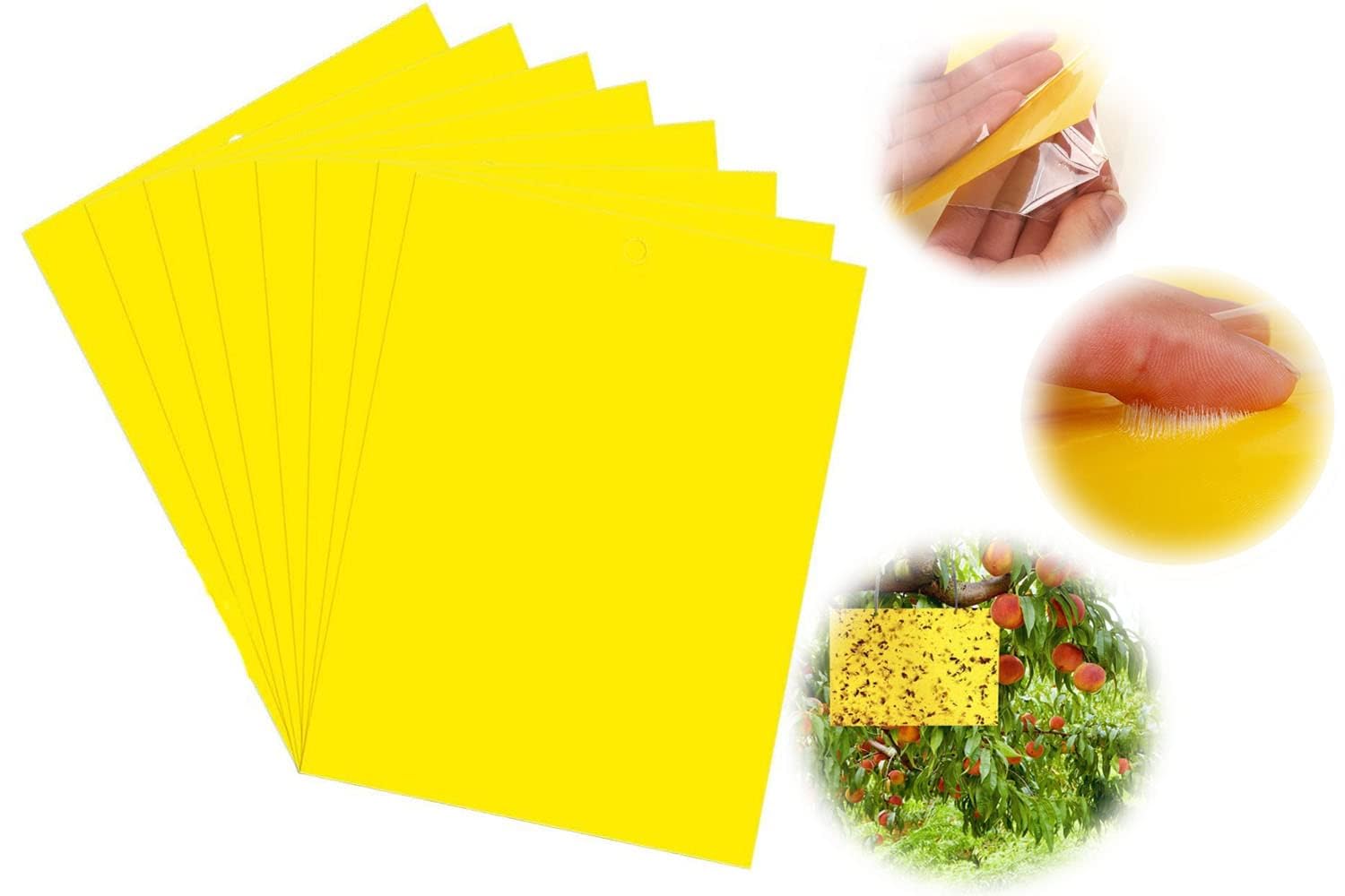 Azonee Effective Gnat Sticky Traps - 20-Pack Yellow Dual-Sided Insect Boards for Fruit Fly & Fungus Gnat Control, Indoor/Outdoor Use (15X 20CM, Includes Twist Ties)