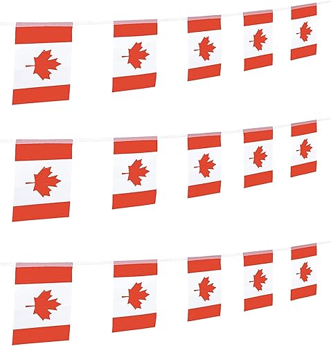 Vista 102 de ZXvZYT Cadena de bandera haitiana de Haití, pequeñas mini banderines de Haití, para gran apertura, eventos deportivos nacionales, decoraciones