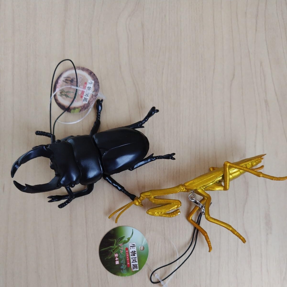 カブトムシ、クワガタまとめて！ 【公式通販】