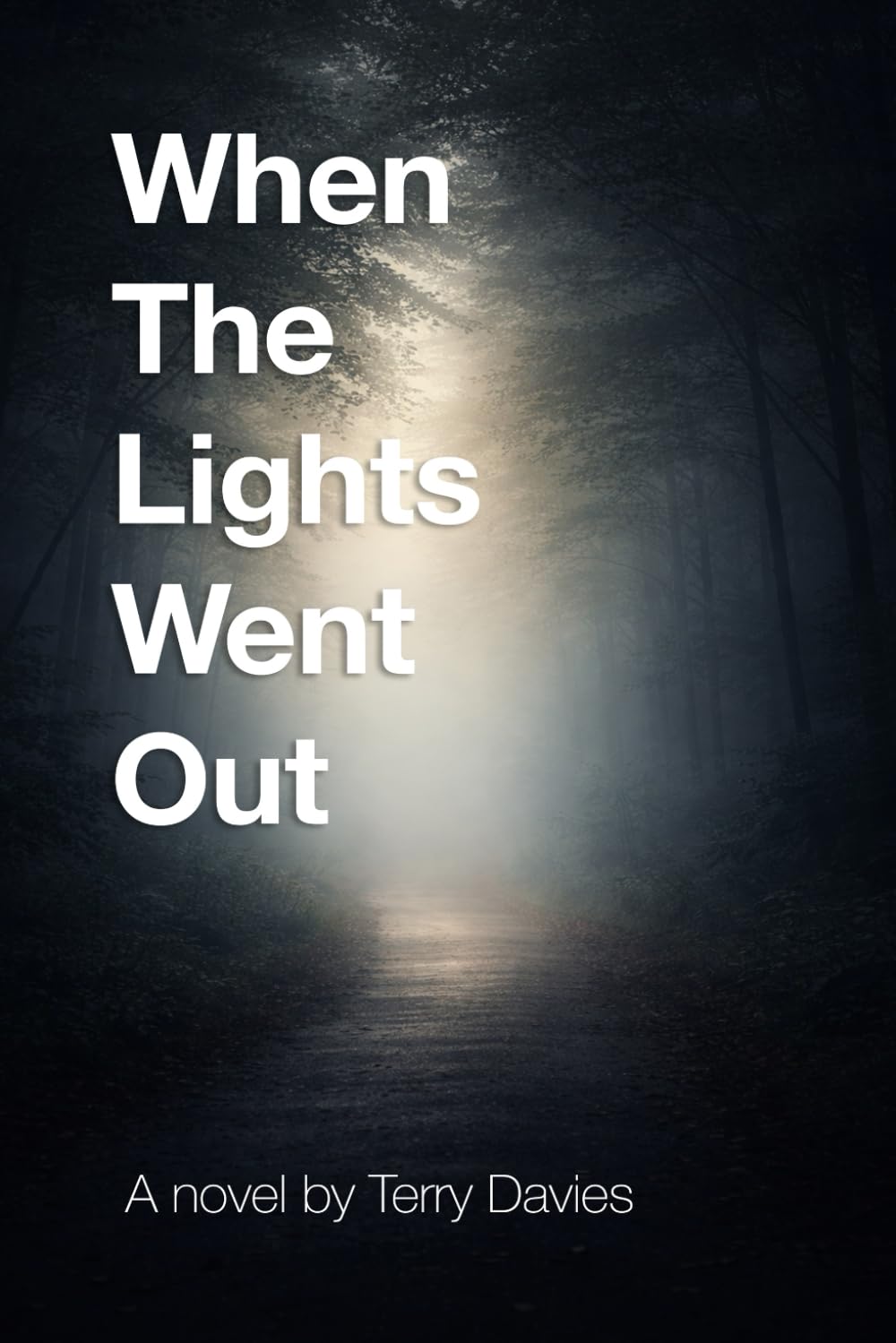 When The Lights Went Out: A Novel