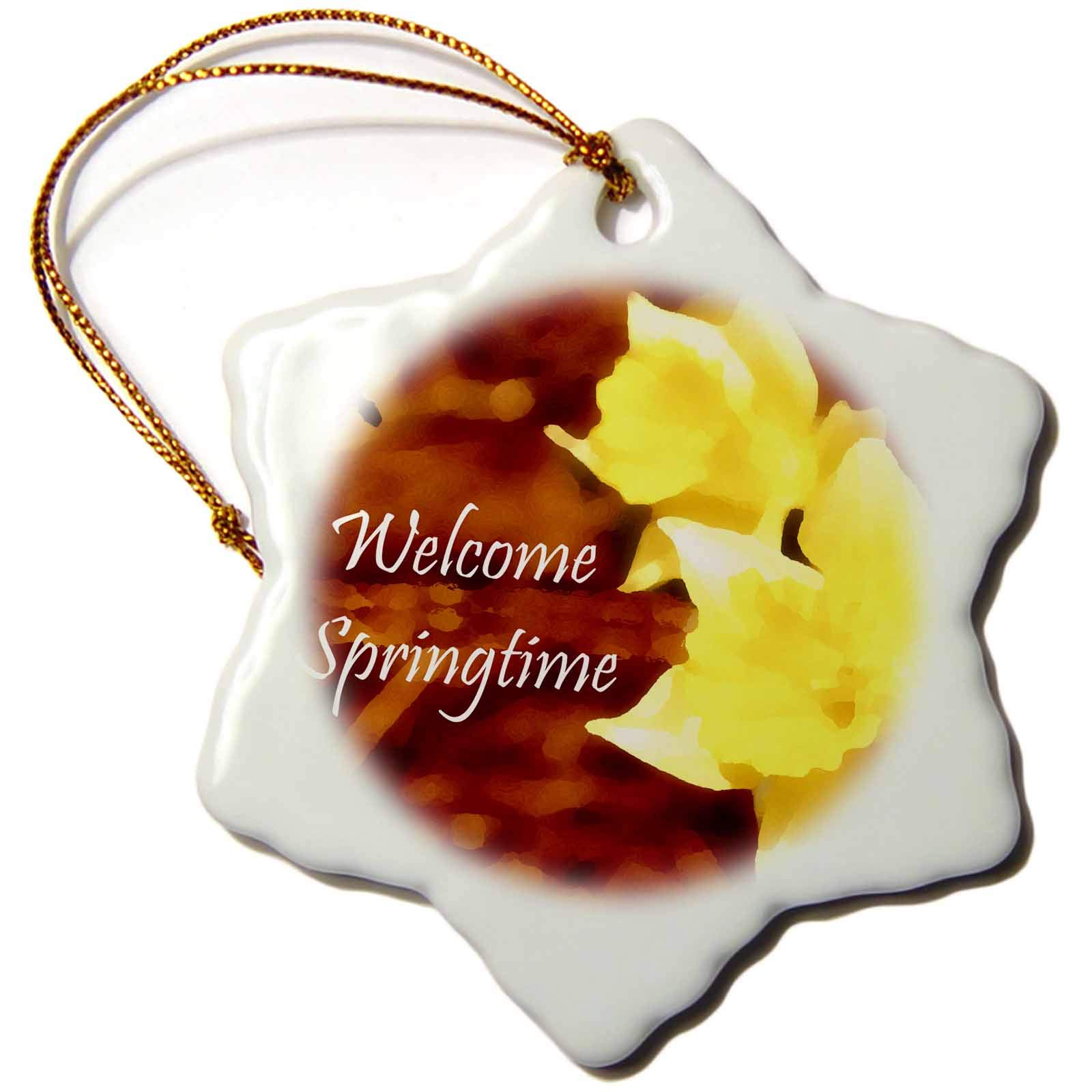 3dRose Welcome Spring a Photo I Added Special Effects to - Ornaments (orn-179645-1)