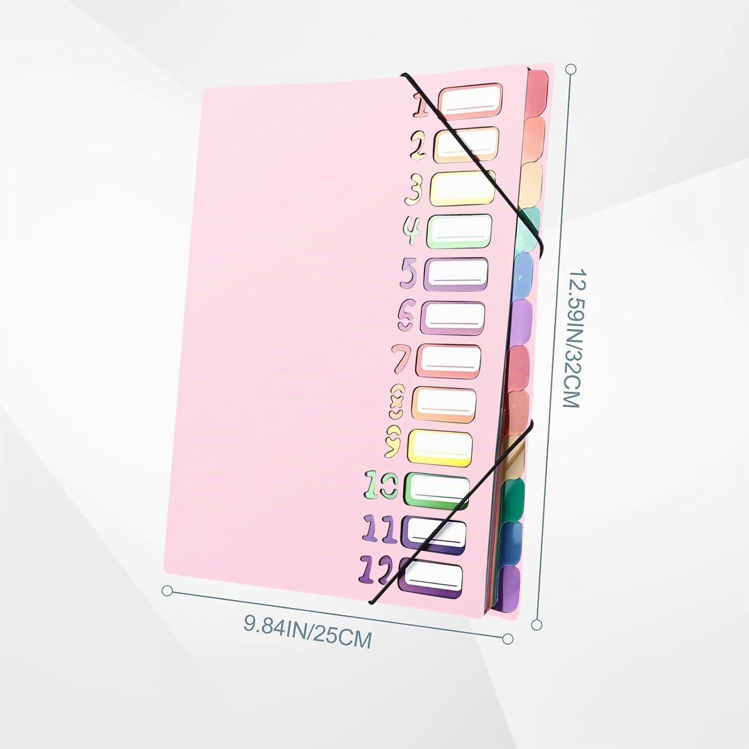 Delamiya Carpeta para documentos A4, portátil con 12 compartimentos, de plástico PP, carpeta con goma, impermeable, para material de oficina escolar (negro)