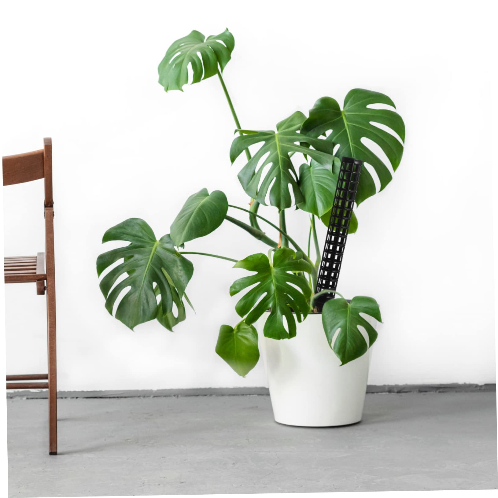 Happyyami 6stücke Moosstäbe Für Pflanzen Hohe Rankhilfe Seil Für Kletterpflanzen Und Zimmerpflanzen Für Monstera Efeutute Und