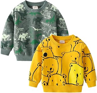 Toddlers Boys Dinosaur Bear Sweatshirts Long Sleeve Tops