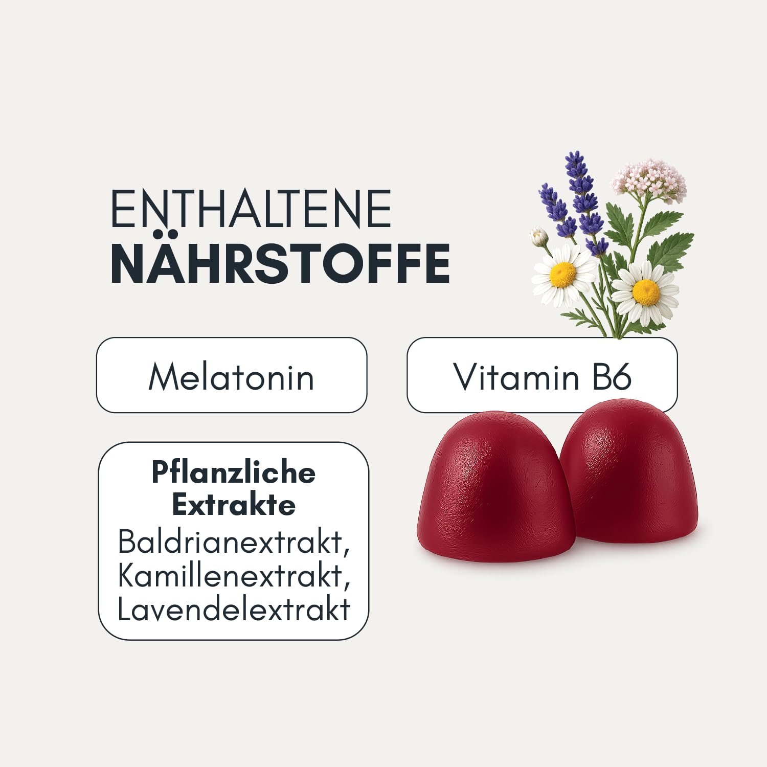 Sleep Melatonin Gummibärchen (Packung mit 2)