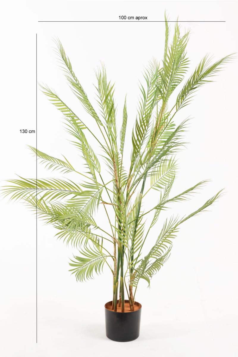 Regalos Miguel - Figuras Decorativas - Planta Artificial Palmera Helechosa - 130