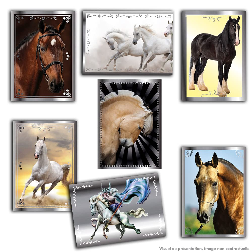 Panini Konie 2023 Blister 13+2 oferowane, 004626KBF14