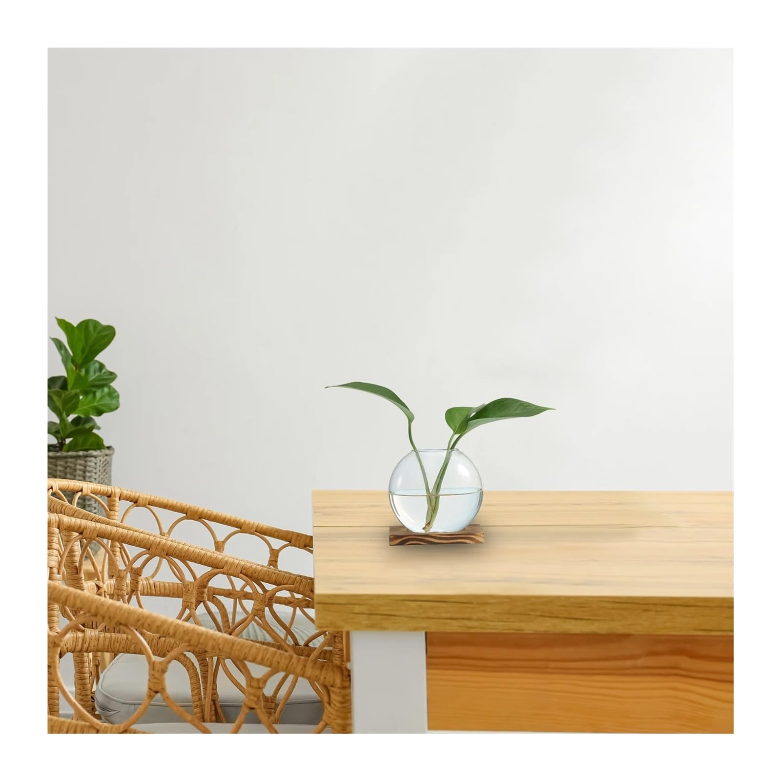 Soliflore en Verre Vase hydroponique en Verre avec Plateau Bois, 2 pièces, Vases à bourgeons, Station de Propagation des Plantes, Fleurs for Chambre Coucher, décoration Table Maison(Brown)