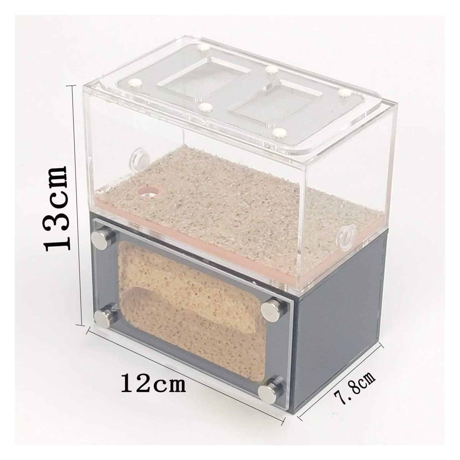 Hormiguero, Terrario de Hormigas con Zona alimentación, acrílico Transparente, 13 cm