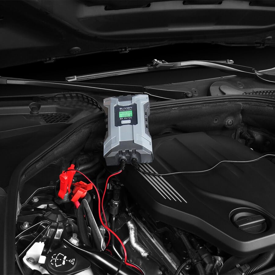 BLIVION Carica Batteria per Auto 6V/2A 12V 2A/6A | Fornisce diagnostica avanzata per indicare le batterie danneggiate | Per Batterie piombo acido
