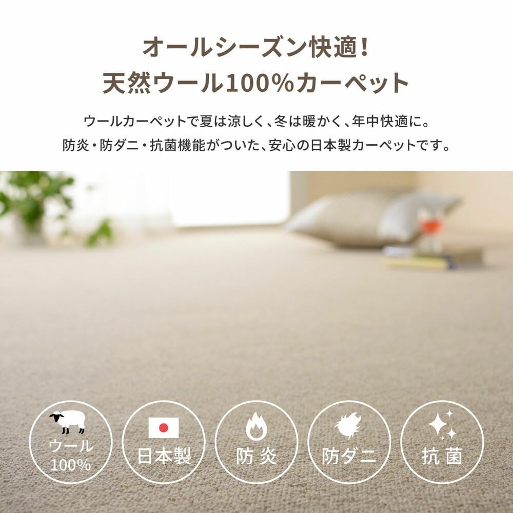 Amazon | 天然ウール100％ 防炎カーペット オペラ 江戸間 6畳 261