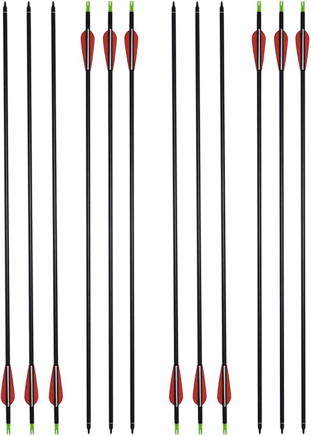 12 Pack Mix Carbon Archery 30/31 Inch Hunting Arrows 100 Grain Points for Targeting Compound/Recurve/Long Bow
