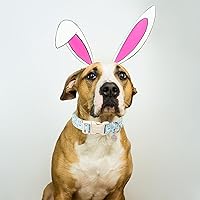 Vista 205 de DOGWONG Collar de perro de San Valentín, collar de perro con estampado de corazones para perros grandes, lindos collares de primavera, hembra