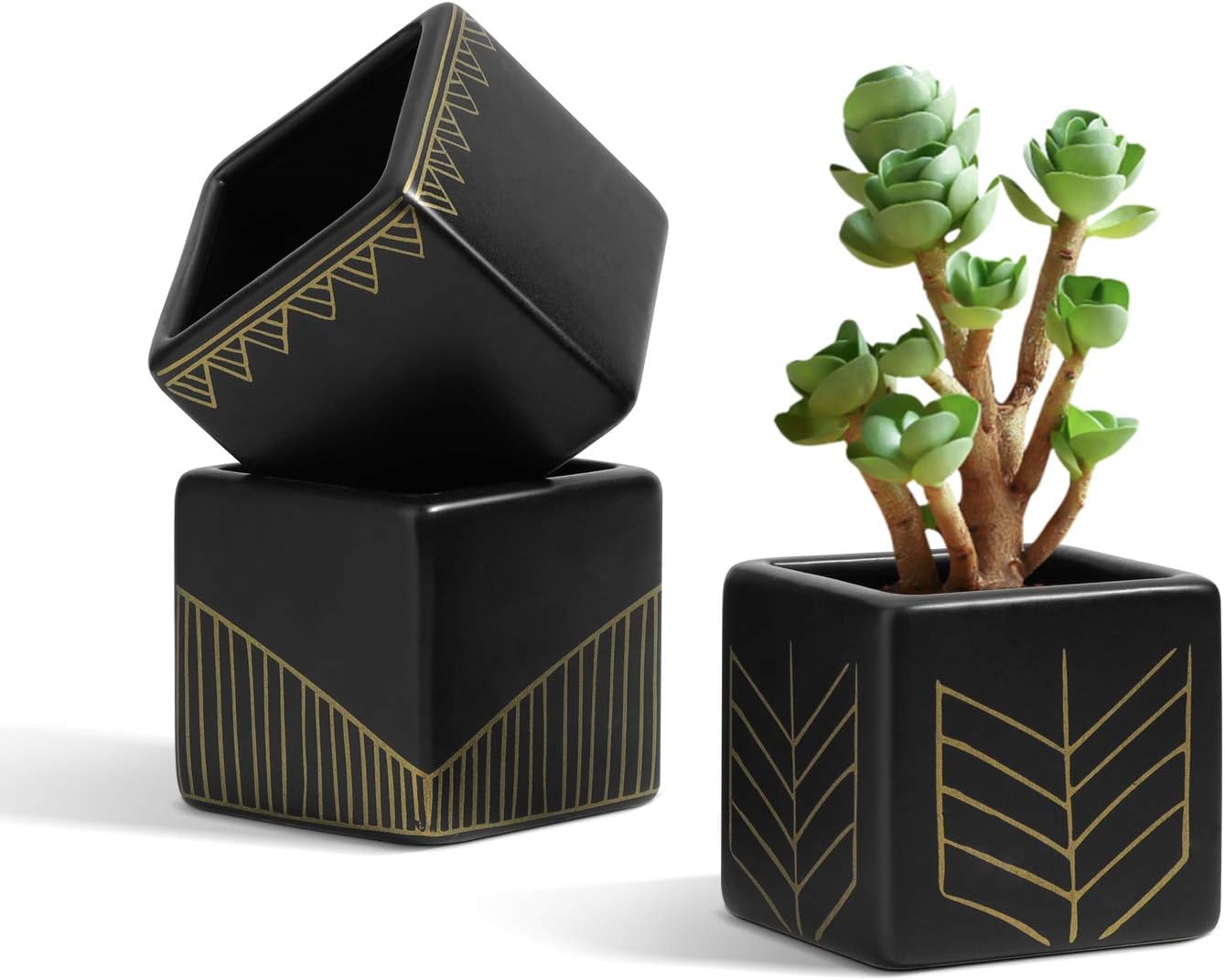 T4U Matt Square Succulent Pots Black, Small Ceramic Succulent Plant Planter Garden Cactus Flower Pot Container for Home and Office Decoration Set of 3