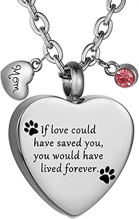 COCO Park Pet Memorial Keepsake Jewelry Cremation Pendant Urn Necklace for Ashes Love Could Have Saved You with Engraving