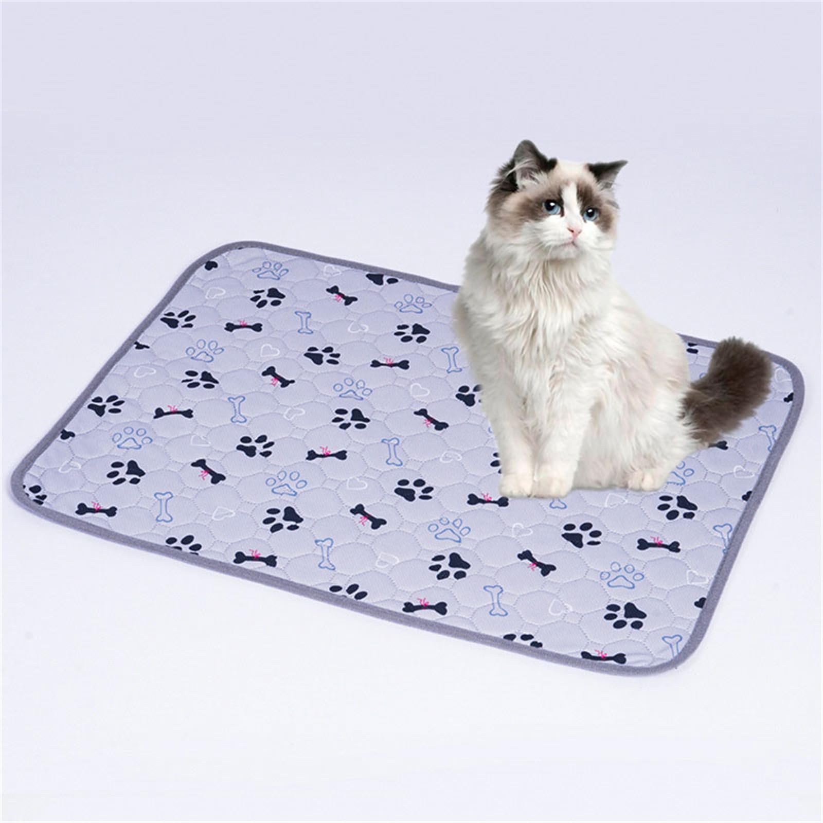 Lukery 2 Pezzi Tappetini Cane Lavabili, Tappetini Igienici per Cani Antiscivolo Tappetino per Addestramento Riutilizzabile Tappetini Assorbenti per Cani/Gatti (XXL:(150 * 90cm),Osso Nero)