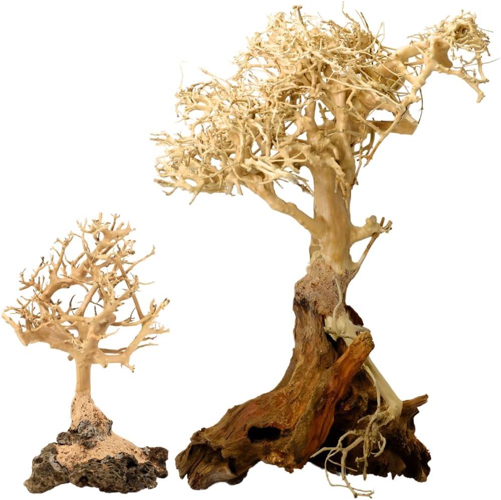 2-Pack Bonsai Driftwood Aquarium Trees on Rock 1BF (11" Height) 1BSS(5" Height) – Handcrafted Natural Fish Tank Decoration | Balances Water pH, Stabilizes Environment | Easy to Install