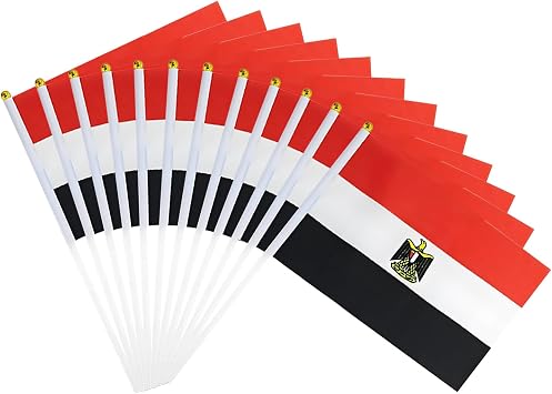 12 Pack Small Egyptian Flags on Stick, 5.5 x 8.2 Inch Mini Egypt Handheld Flag, Weather Resistant Polyester Hand Wave Flags for Parades, International Day, Cultural Festivals, Table Decor, Yard & Events