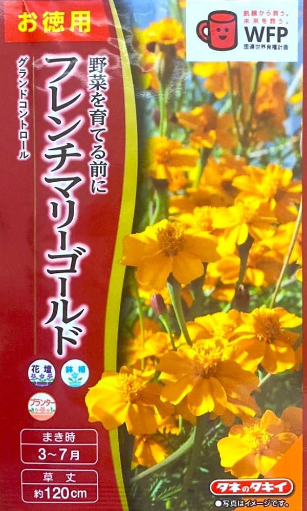 Amazon.co.jp: 花種子 フレンチマリーゴールド グランドコントロール
