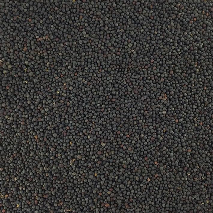 Paul´s Mühle Rapssamen 5 kg