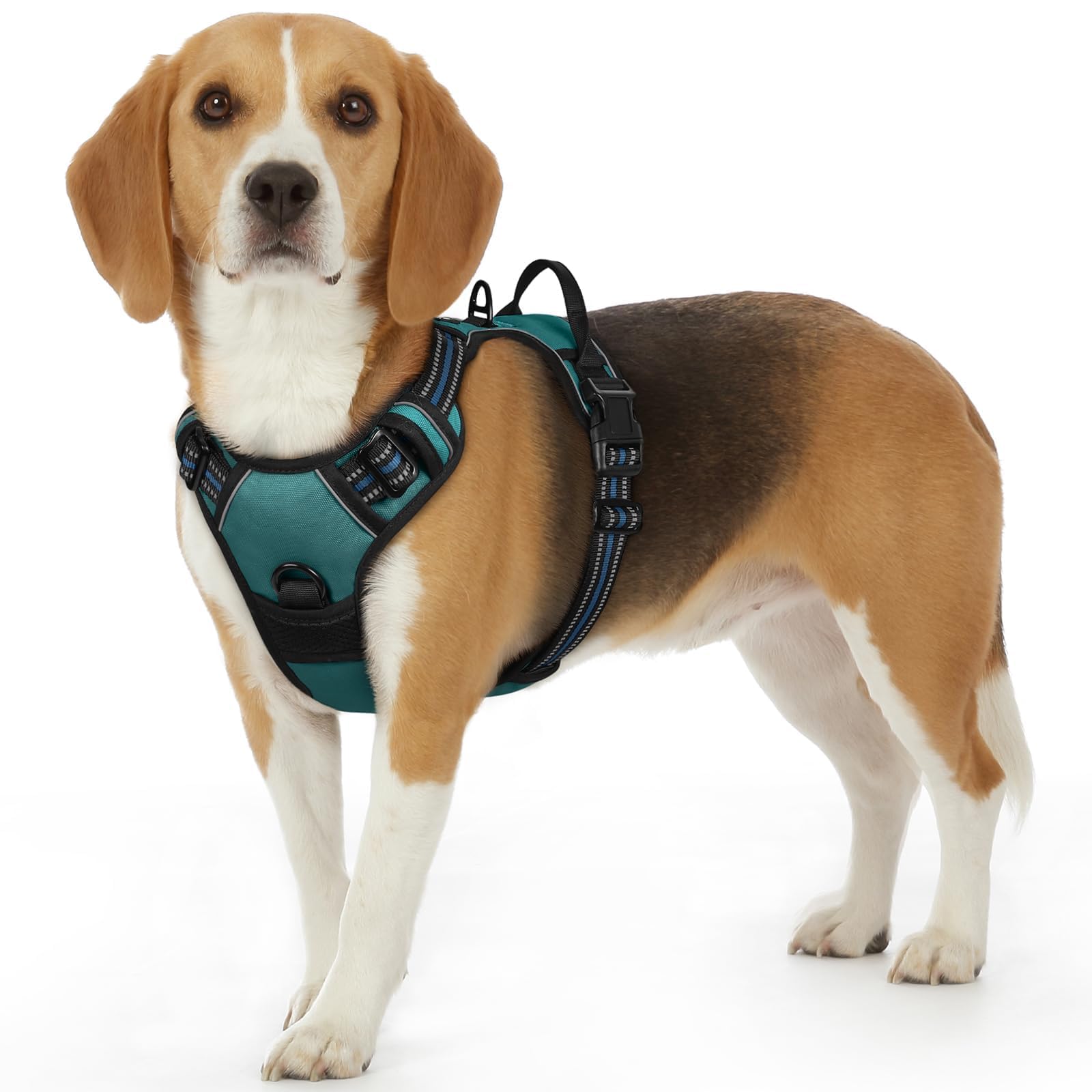 Eagloo Pettorina Cane Taglia Piccola, Pettorina ad h Antifuga, Imbracatura per Cani Anti Tiro con Doppio Gancio, Imbracatura Robusto e Regolabile per Addestramento Passeggiate, S, Verde Scuro