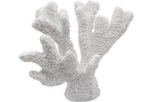 Coastal Coral Decor: Elevate Your Space with the Beauty of the Sea