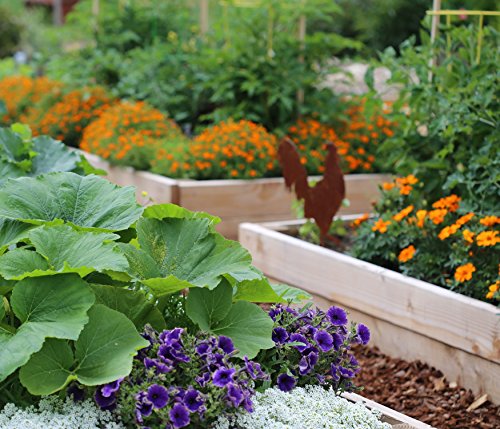 ECOgardener Weed Barrier Fabric 3ft x 50ft - Image 7