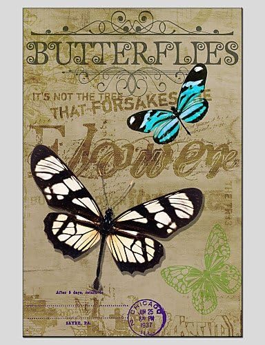 SDYJQ Stretched Canvas Oil Painting Art Butterfly style 60*90CM #2033