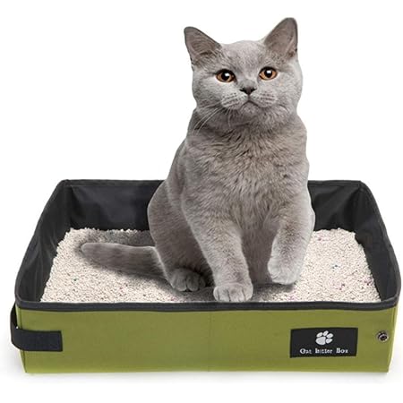 container store litter box