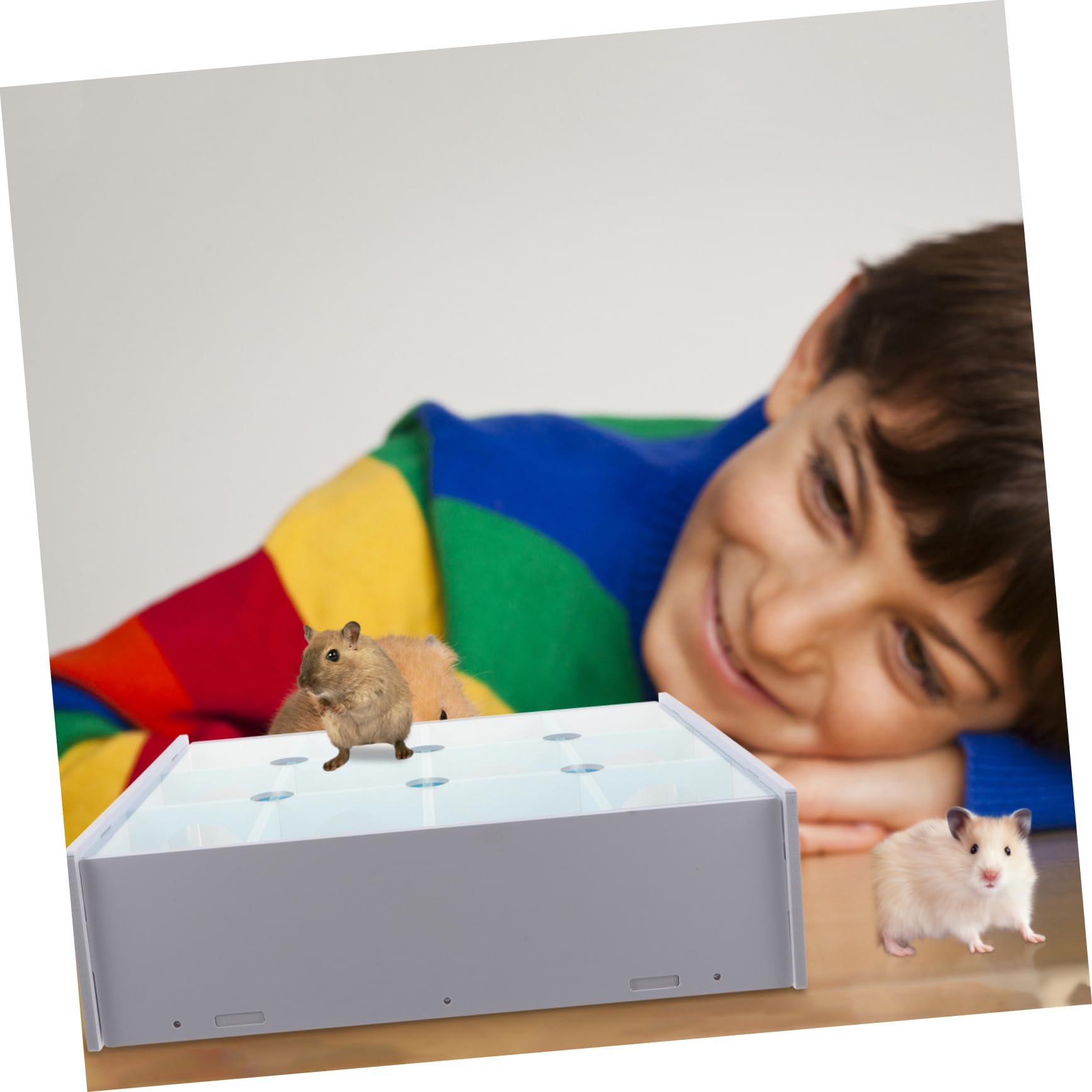 Hamsterlabyrinthtunnel Fördert Gesunde Entwicklung und Beweglichkeit als Haustierlabyrinthspielzeug für Haustierlabyrinthspielzeug Kleine Haustiere Wie Rennmäuse und Ratten