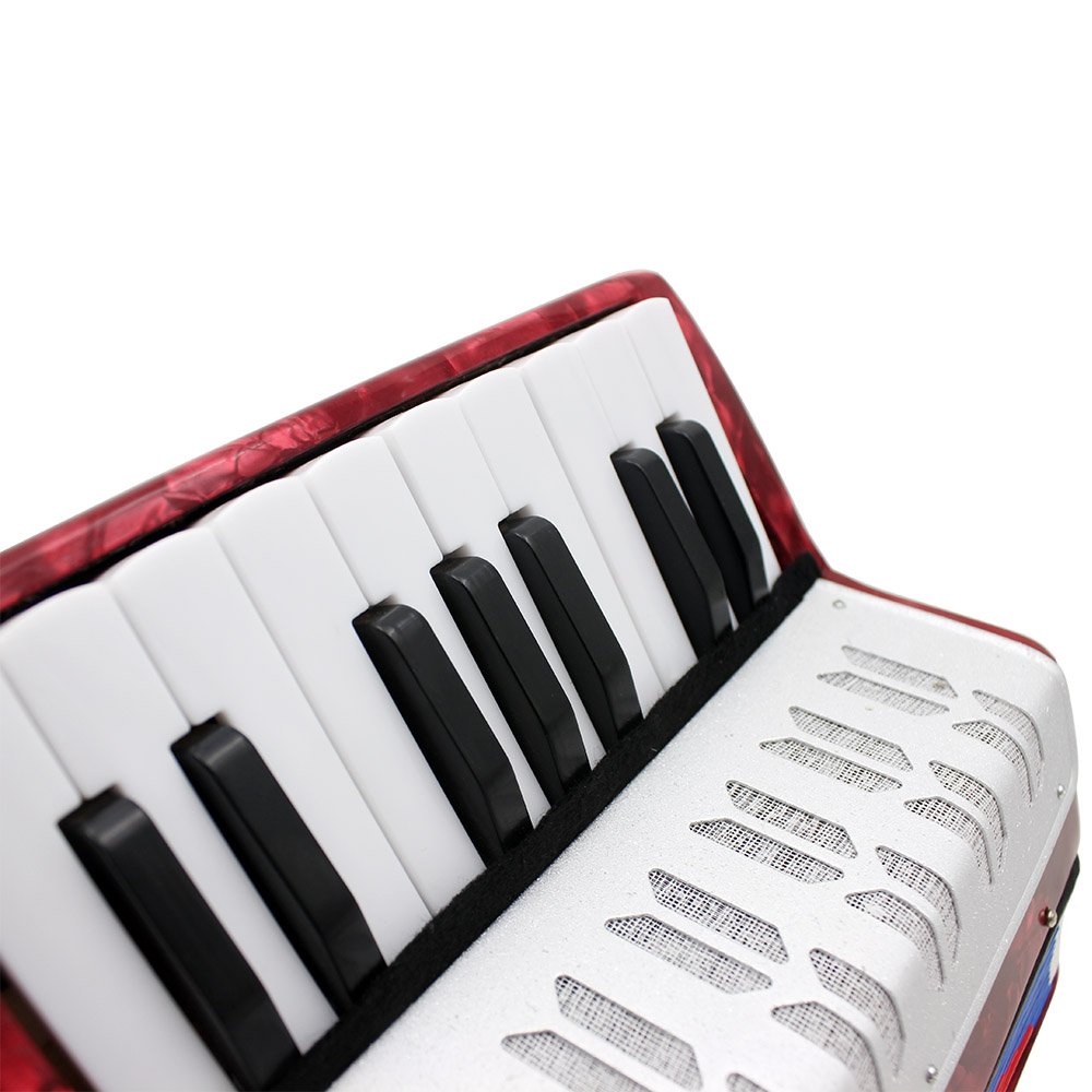 Aoresac Fisarmonica Elegante e Trendy Moderna 17 Tasti 8 Bassi Mini Piccolo Strumento Musicale Educativo Giocattolo Suono Melodioso Chiaro e Squisito con Tracolla Regolabile per B (Rossa)