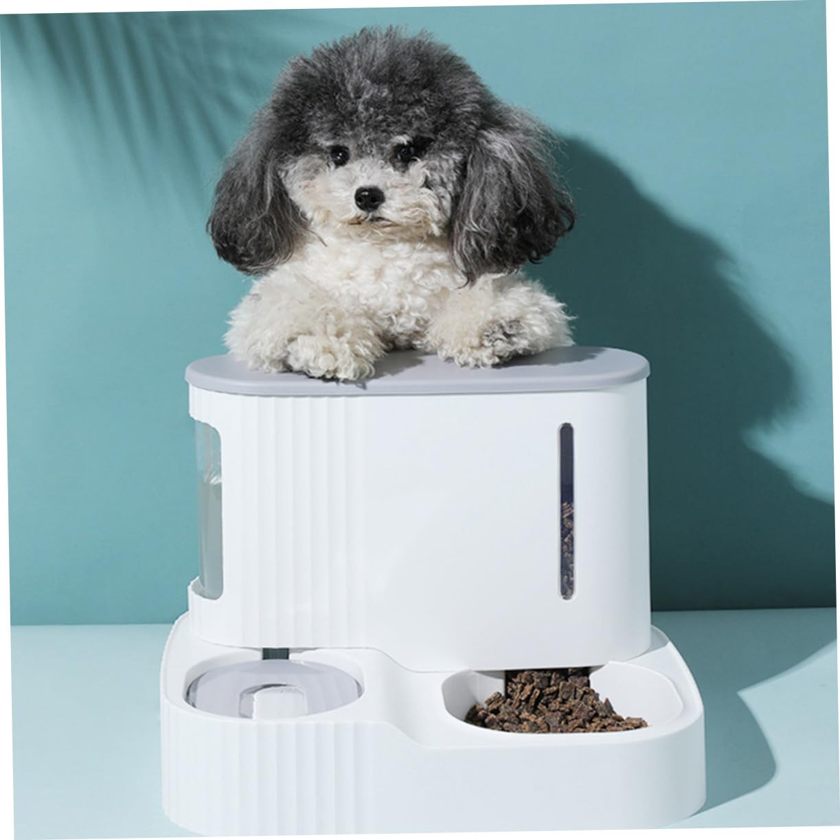 Distributeur Automatique et Eau de Nourriture Gravité, pour Chats