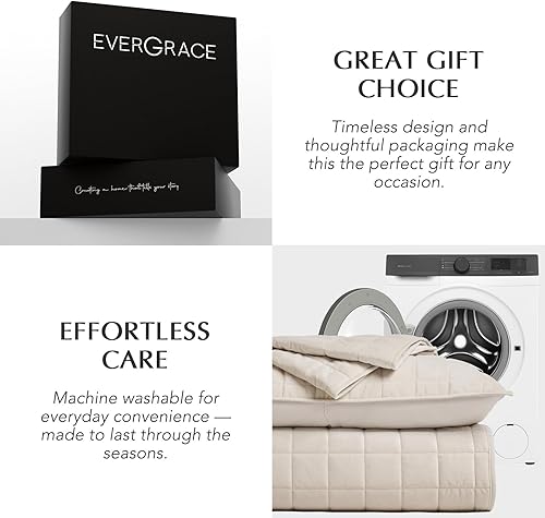 Miniatura 9 de EVERGRACE Juego de ropa de cama de terciopelo perlado tamaño King, lujoso juego de edredón de terciopelo suave, ligero con costuras de caja, colcha