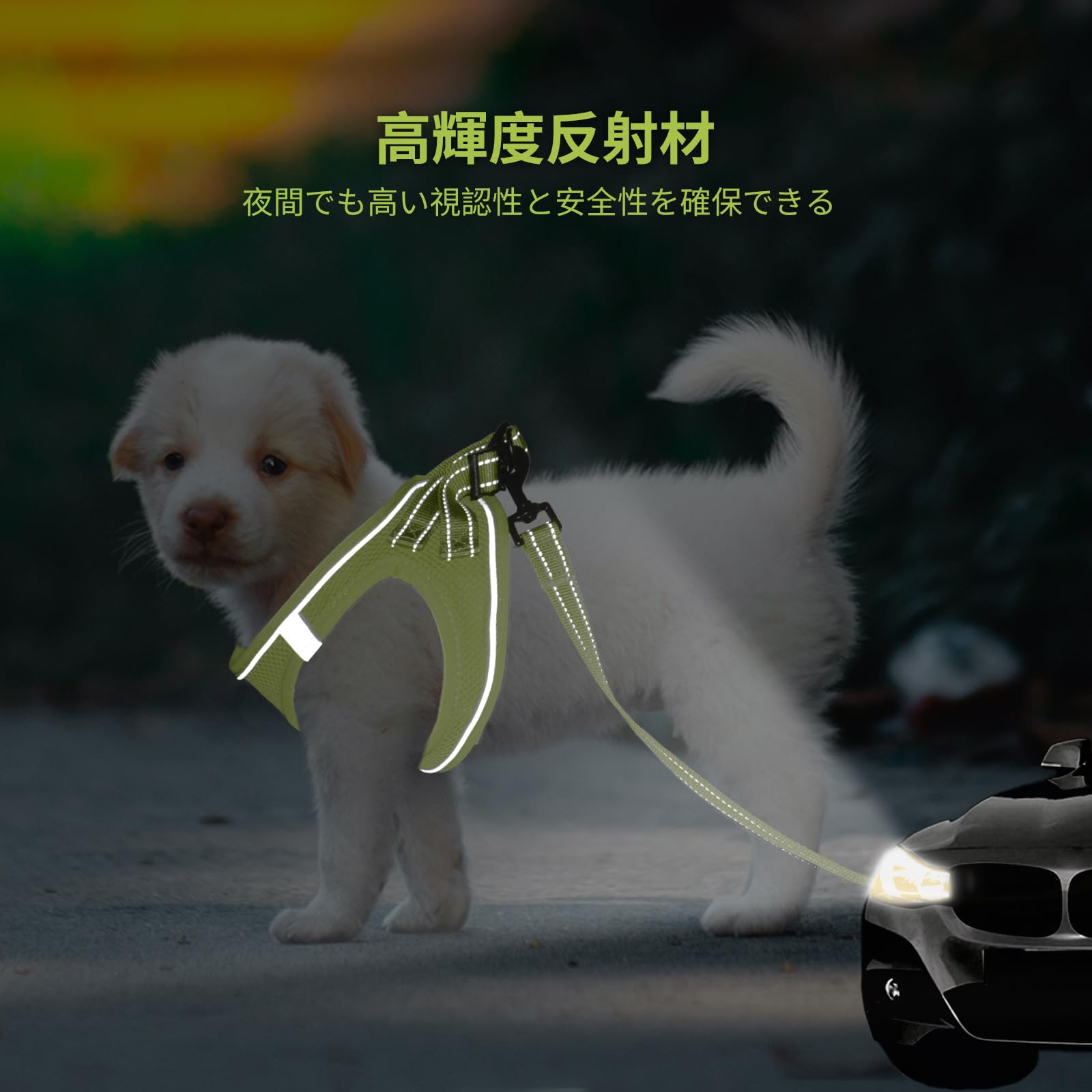 Amazon | BELLA & PAL 犬用 ハーネス リード セット 小型犬 超小型犬