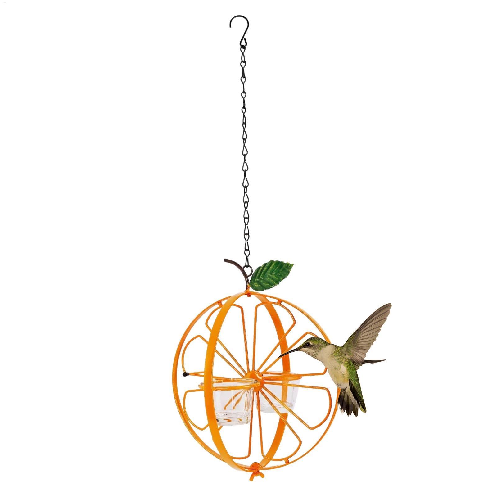 Mangeoire à oiseaux de plein air et intérieur : coupe pour colibri XIAOXIAOYU