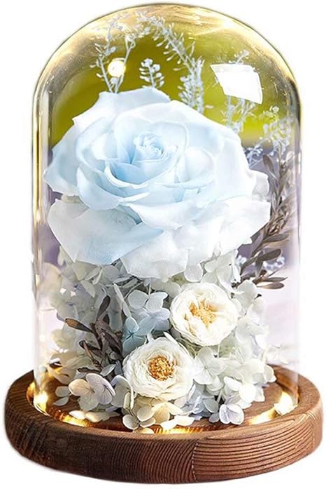 Amazon Co Jp プリザーブドフラワー ギフト 母の日 永遠の花 暗くなると光る バラ 花 プロポーズ 記念日 結婚祝い 誕生日 ラッピング済み 手作り メッセージカード付き Ledライト付き プレゼント Sathiyo ホーム キッチン