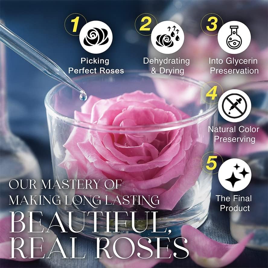 Miniatura 5 de GLAMOUR BOUTIQUE Rosa real preservada en una caja de regalo con juego de regalo de flores encantadas, regalos para ella, regalo para mamá, hija,