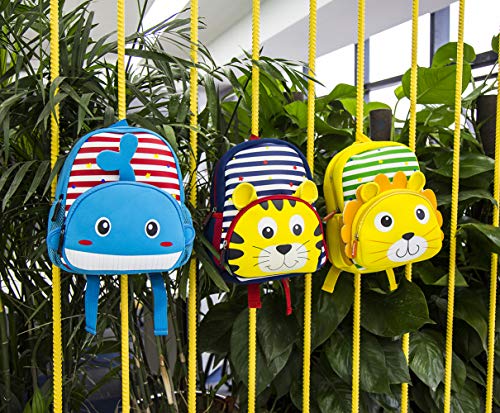 Kk Crafts Toddler Backpack, Waterproof Preschool Backpack, 3D Cute Cartoon Neoprene Animal Schoolbag For Kids, Lunch Box Carry Bag For 1-6 Years Boys Girls, Whale #TOP5