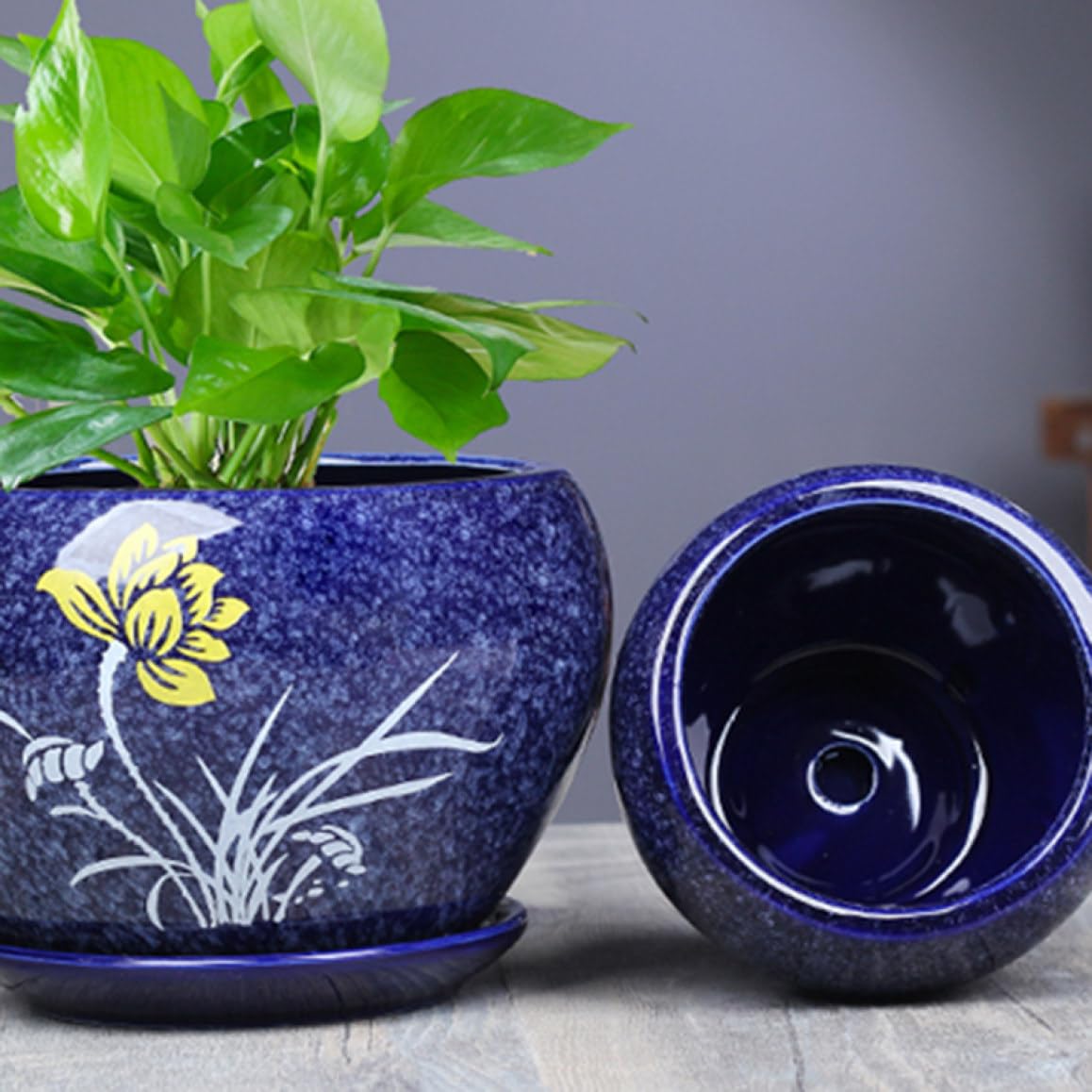 Amazon.co.jp: 植木鉢 通気性がよい 園芸鉢 プランター 2個セット